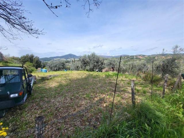 Terreno in vendita a Riparbella