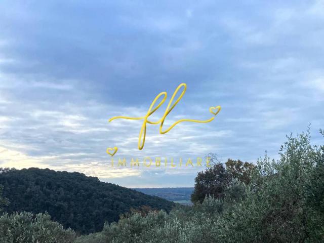 Terreno in vendita a Riparbella, Toscana