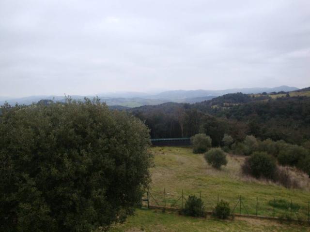 Terreno in vendita a Riparbella, Toscana