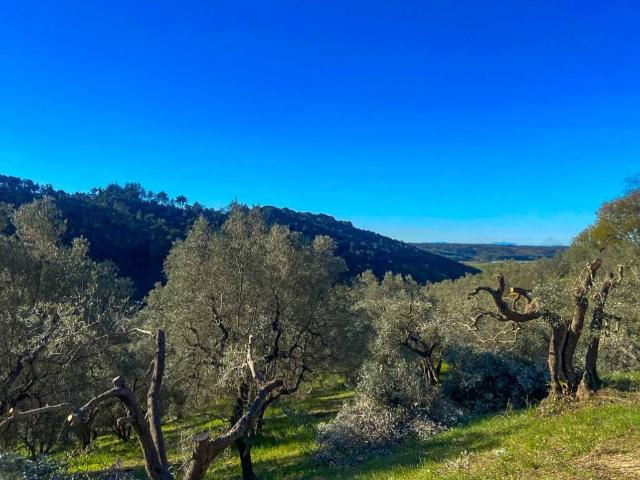 Terreno in vendita a La Preselle, Riparbella