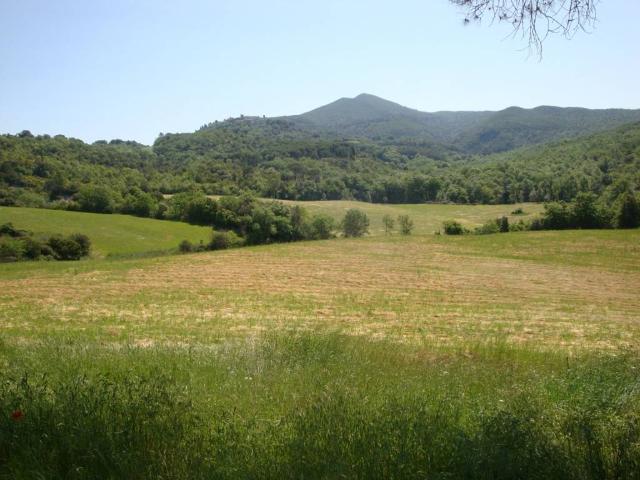 Terreno in vendita a Melatina, Riparbella