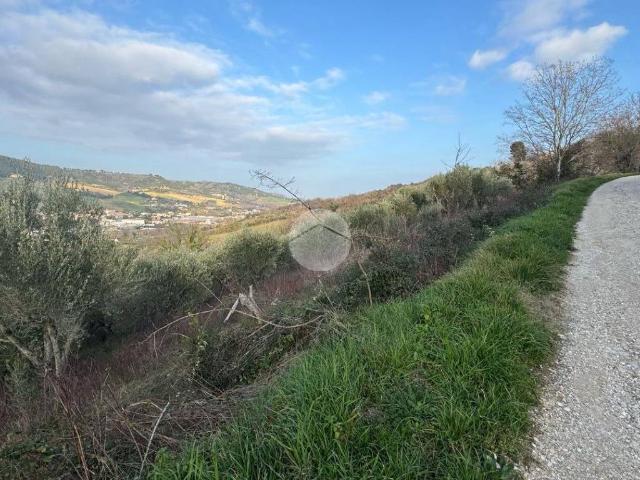 Terreno in vendita a Zona Industriale Bore Tesino, Marche