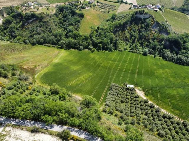 Terreno in vendita a Ripatransone, Ascoli Piceno