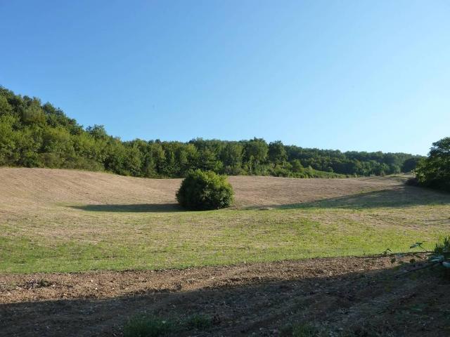Terreno in vendita a Colle Guardia, Marche