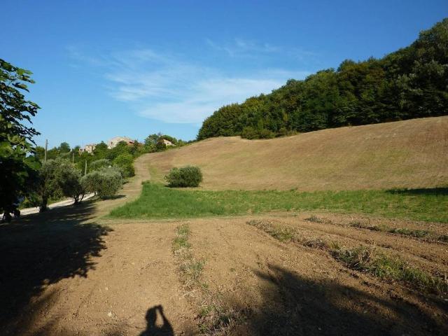 Terreno in vendita a Colle Guardia, Marche