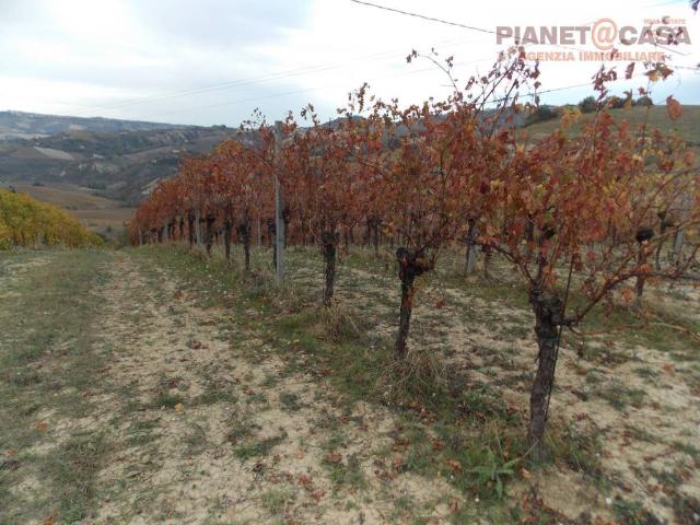 Terreno in vendita a Trivio, Marche