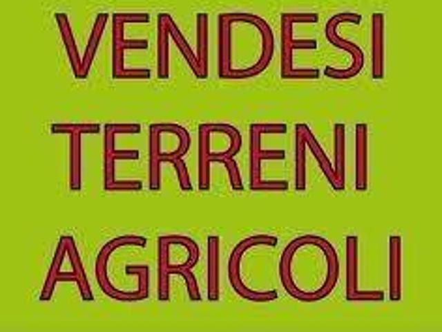 Terreno in vendita a Ripi, Lazio