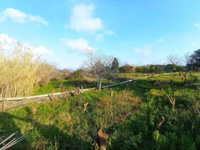 Terreno in vendita a Giarre, Sicilia