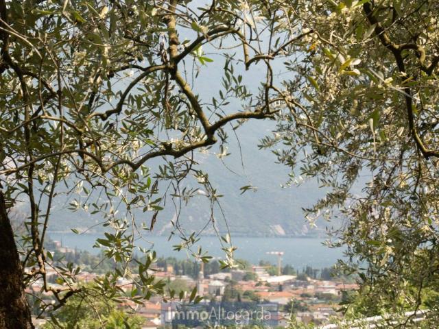 Terreno in vendita a Comunità Alto Garda e Ledro, Riva