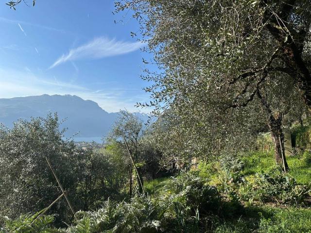 Terreno in vendita a Comunità Alto Garda e Ledro, Riva