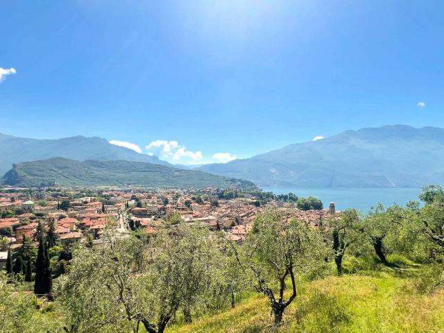 Terreno in vendita a Comunità Alto Garda e Ledro, Riva