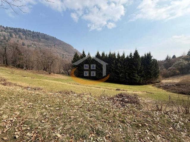 Terreno in vendita a Comunità Alto Garda e Ledro, Riva