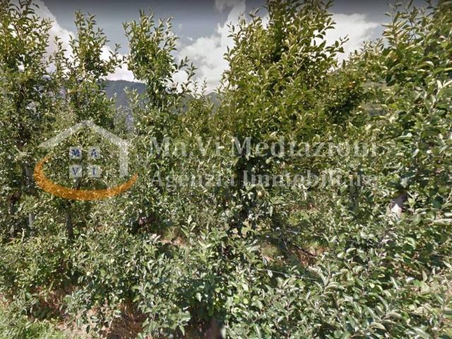 Terreno in vendita a Comunità Alto Garda e Ledro, Riva