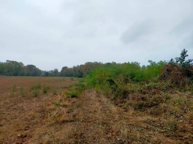 Terreno in vendita a Piemonte, Torino