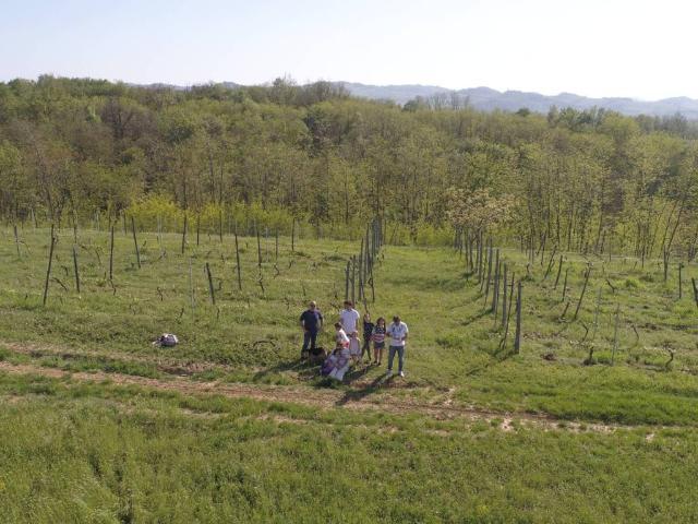 Terreno in vendita a Rivanazzano, Lombardia