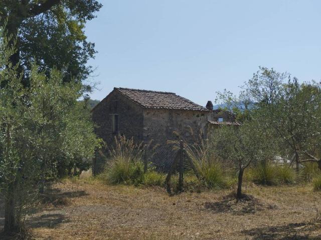 Terreno in vendita a Rivello, Basilicata