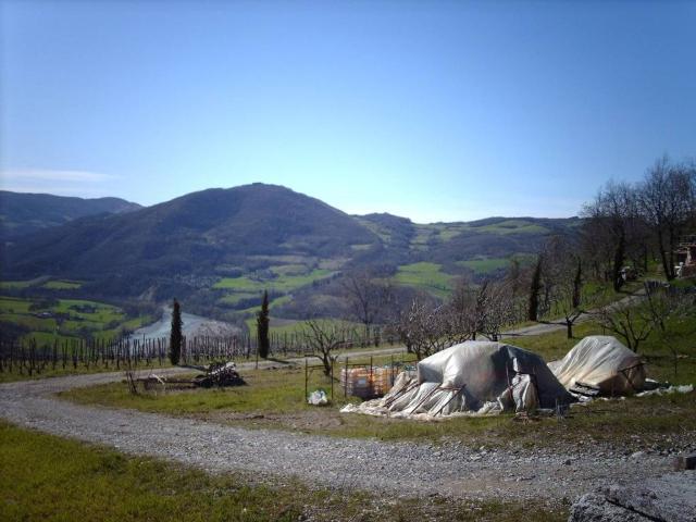 Terreno in vendita a Rivergaro, Reggio Emilia