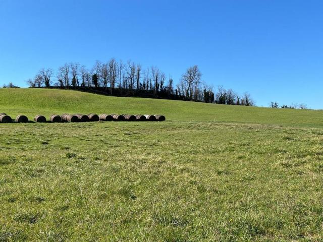 Terreno in vendita a Rivergaro, Reggio Emilia