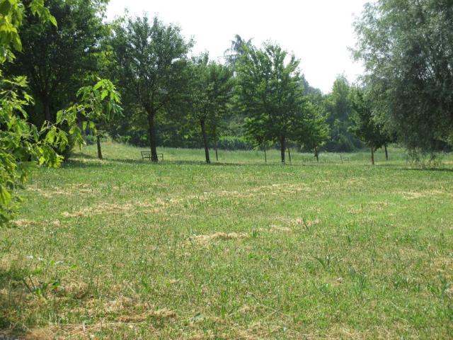 Terreno in vendita a Denavolo, Travo