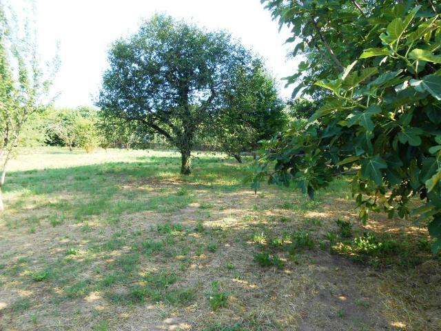 Terreno in vendita a Piemonte, Torino