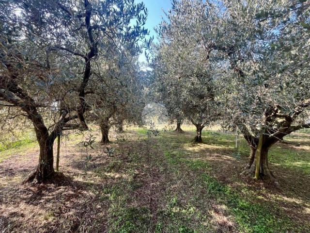 Terreno in vendita a Rivoli Veronese, Veneto