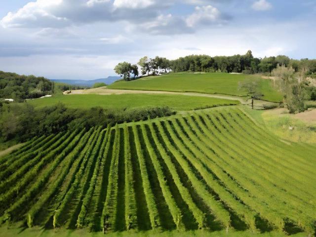 Terreno in vendita a Rivoli Veronese, Veneto