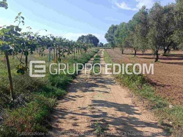 Terreno in vendita a Calabria, Reggio Calabria