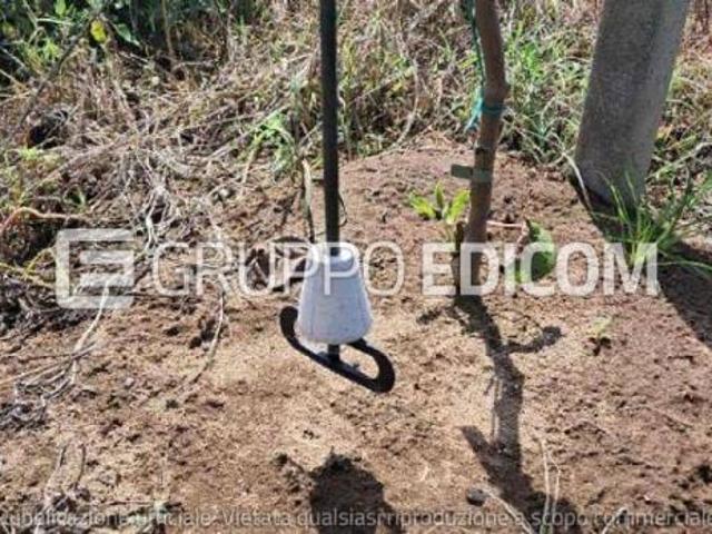 Terreno in vendita a Rizziconi, Reggio Calabria