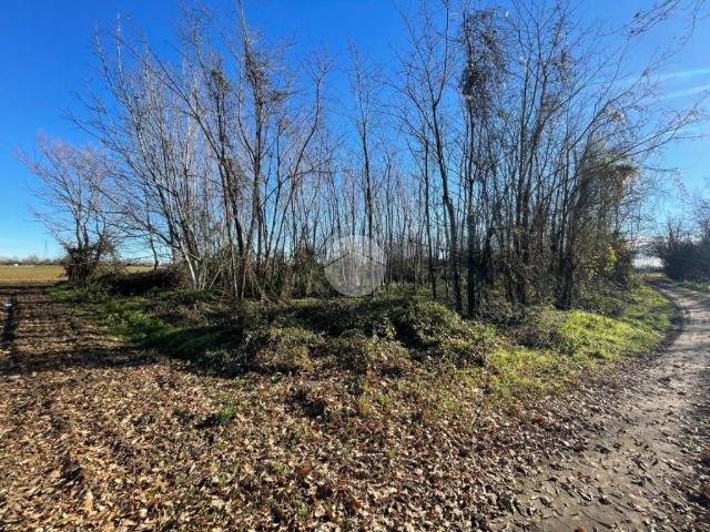 Terreno in vendita a Robecco Sul Naviglio, Lombardia