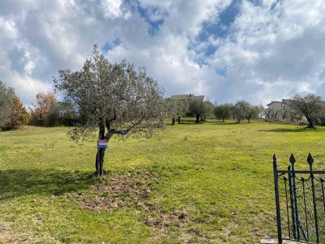 Terreno in vendita a Rocca D'arce, Lazio