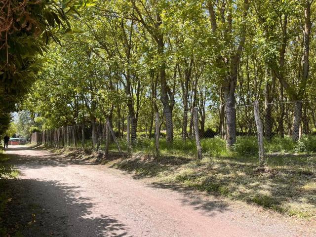 Terreno in vendita a Roma Capitale, Lazio