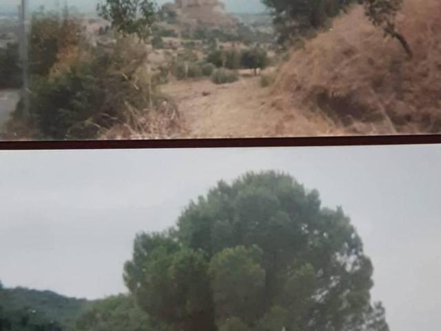 Terreno in vendita a Calabria, Cosenza