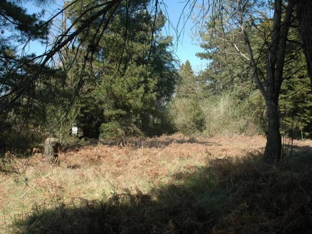 Terreno in vendita a Roma Capitale, Lazio
