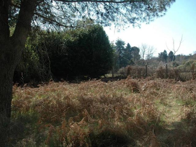 Terreno in vendita a Roma Capitale, Lazio