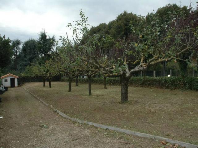 Terreno in vendita a Roma Capitale, Lazio