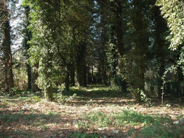 Terreno in vendita a Roma Capitale, Lazio