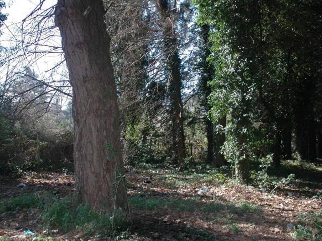 Terreno in vendita a Roma Capitale, Lazio