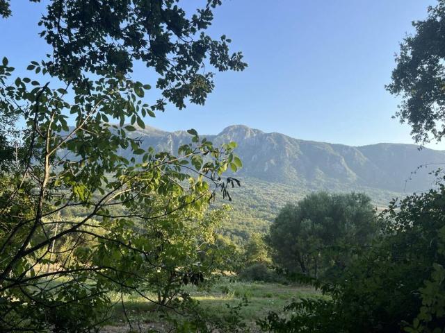 Terreno in vendita a Roccagloriosa, Campania