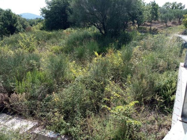 Terreno in vendita a Roccagloriosa, Campania
