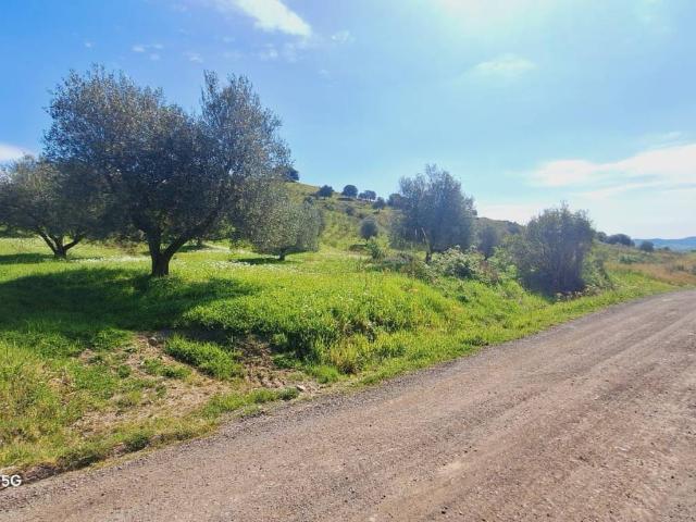Terreno in vendita a Unione dei Comuni Montani Amiata Grossetana, Roccalbegna