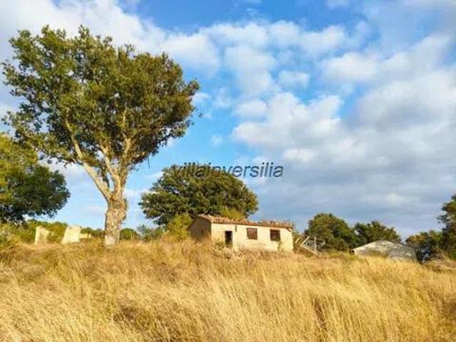 Terreno in vendita a Santa Caterina, Roccalbegna