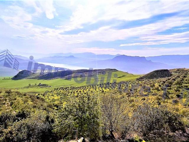 Terreno in vendita a Roccamena, Sicilia