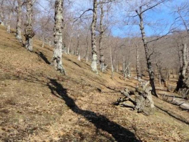 Terreno in vendita a Roccamonfina, Caserta