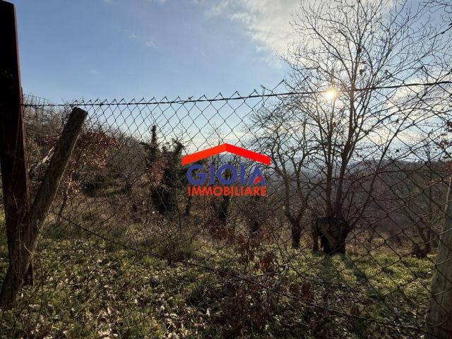 Terreno in vendita a Roccamonfina, Campania