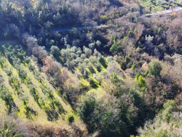 Terreno in vendita a Poggio Catino, Lazio
