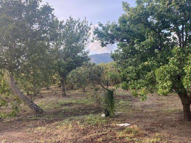 Terreno in vendita a Roccarainola, Campania