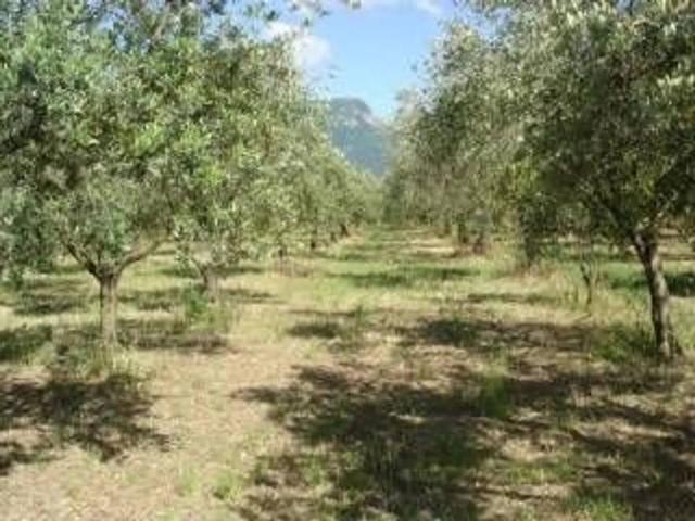 Terreno in vendita a Roccarainola, Campania
