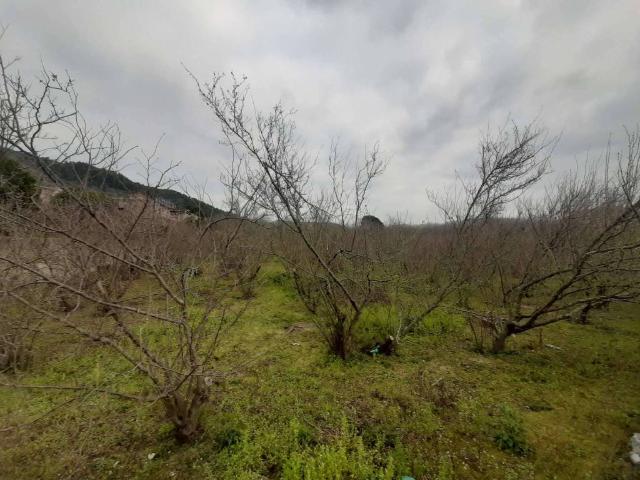Terreno in vendita a Roccarainola, Campania