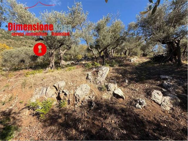 Terreno in vendita a Roccarainola, Campania