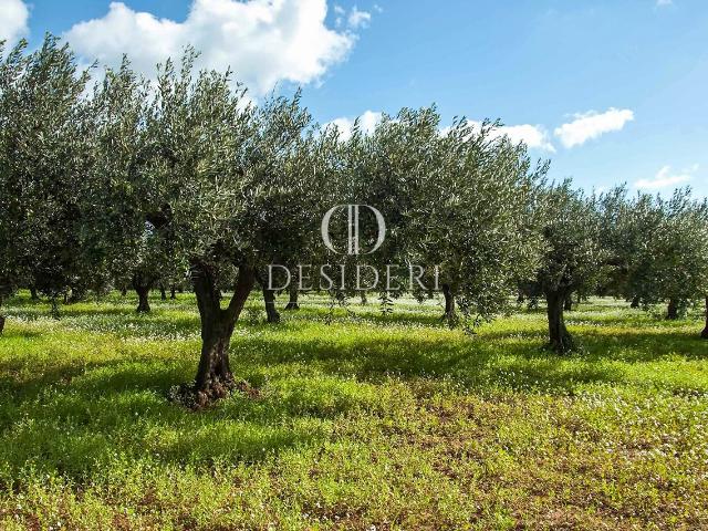Terreno in vendita a Roccastrada, Toscana
